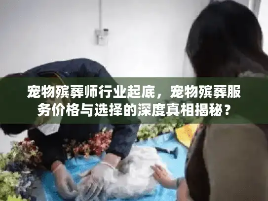宠物殡葬师行业起底，宠物殡葬服务价格与选择的深度真相揭秘？