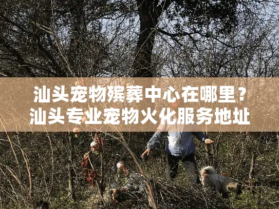 汕头宠物殡葬中心在哪里？汕头专业宠物火化服务地址查询指南