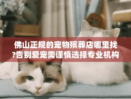 佛山正规的宠物殡葬店哪里找?告别爱宠需谨慎选择专业机构