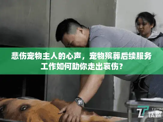 悲伤宠物主人的心声，宠物殡葬后续服务工作如何助你走出哀伤？