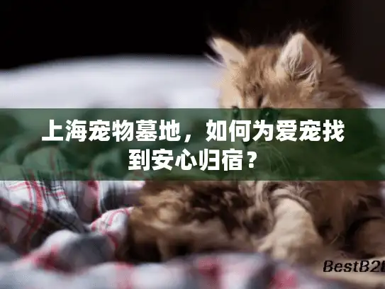 上海宠物墓地，如何为爱宠找到安心归宿？