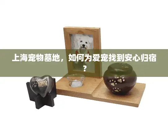 上海宠物墓地，如何为爱宠找到安心归宿？