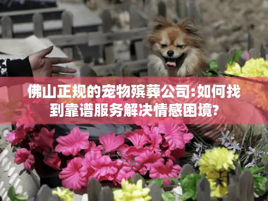 佛山正规的宠物殡葬公司:如何找到靠谱服务解决情感困境?