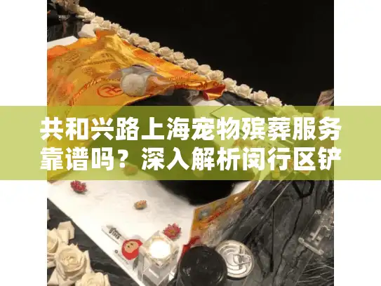 共和兴路上海宠物殡葬服务靠谱吗？深入解析闵行区铲屎官的真实选择