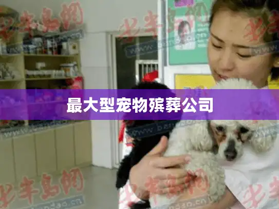 最大型宠物殡葬公司