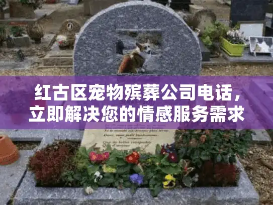 红古区宠物殡葬公司电话，立即解决您的情感服务需求！