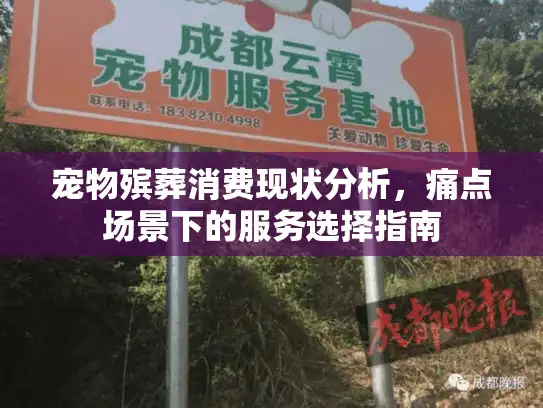 宠物殡葬消费现状分析，痛点场景下的服务选择指南