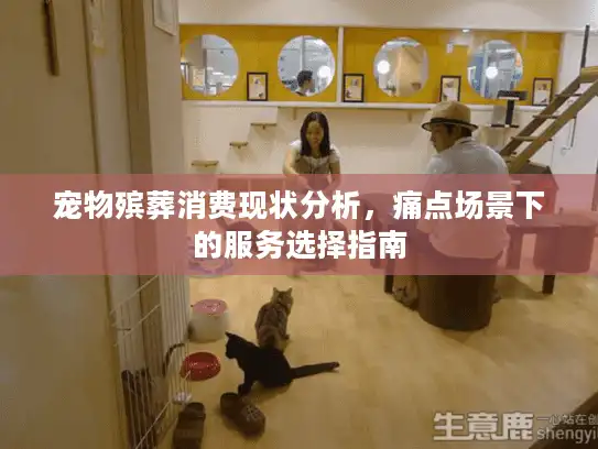 宠物殡葬消费现状分析，痛点场景下的服务选择指南