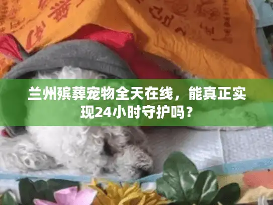 兰州殡葬宠物全天在线，能真正实现24小时守护吗？