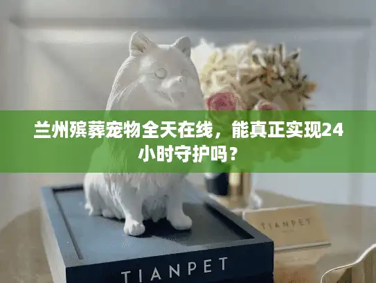 兰州殡葬宠物全天在线，能真正实现24小时守护吗？