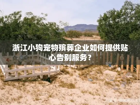 浙江小狗宠物殡葬企业如何提供贴心告别服务？