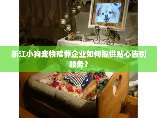 浙江小狗宠物殡葬企业如何提供贴心告别服务？
