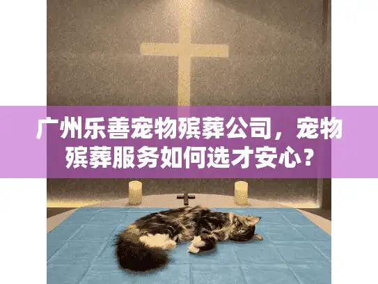 广州乐善宠物殡葬公司，宠物殡葬服务如何选才安心？