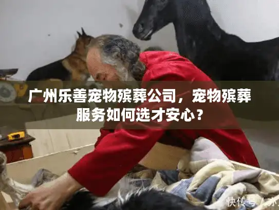 广州乐善宠物殡葬公司，宠物殡葬服务如何选才安心？