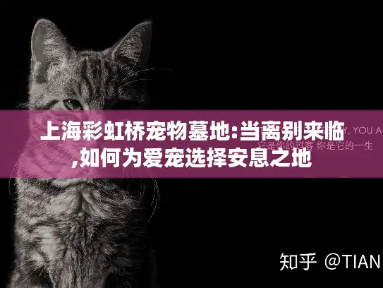 上海彩虹桥宠物墓地:当离别来临,如何为爱宠选择安息之地