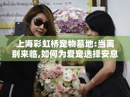 上海彩虹桥宠物墓地:当离别来临,如何为爱宠选择安息之地