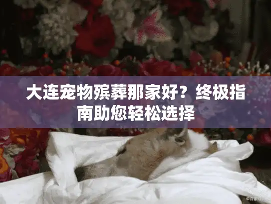 大连宠物殡葬那家好？终极指南助您轻松选择