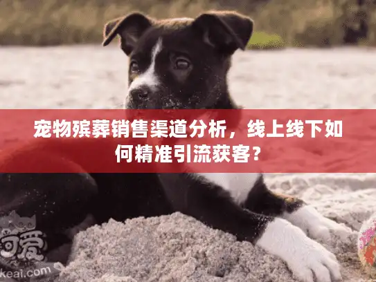 宠物殡葬销售渠道分析，线上线下如何精准引流获客？