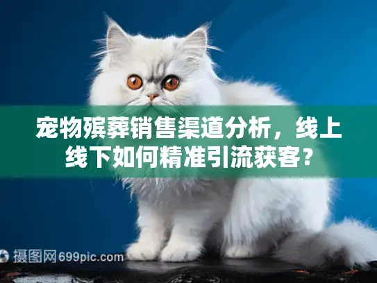 宠物殡葬销售渠道分析，线上线下如何精准引流获客？