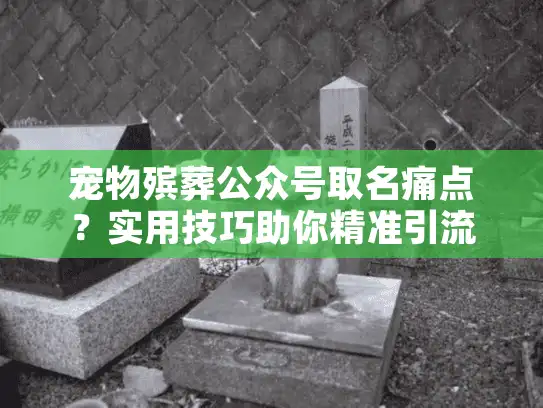 宠物殡葬公众号取名痛点？实用技巧助你精准引流