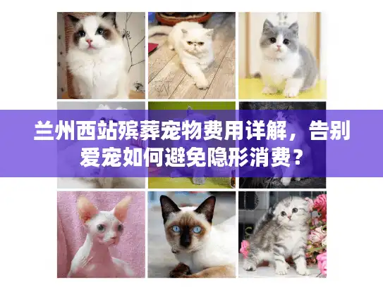 兰州西站殡葬宠物费用详解，告别爱宠如何避免隐形消费？