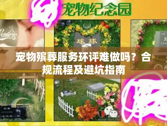 宠物殡葬服务环评难做吗？合规流程及避坑指南