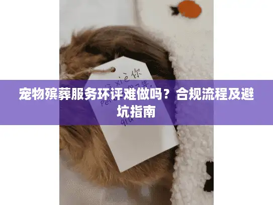宠物殡葬服务环评难做吗？合规流程及避坑指南
