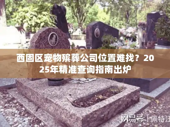 西固区宠物殡葬公司位置难找？2025年精准查询指南出炉