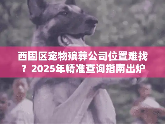 西固区宠物殡葬公司位置难找？2025年精准查询指南出炉