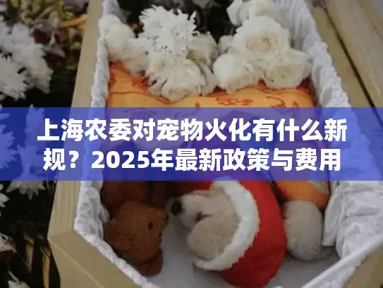上海农委对宠物火化有什么新规？2025年最新政策与费用解析