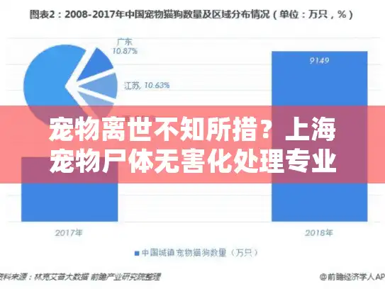 宠物离世不知所措？上海宠物尸体无害化处理专业服务指南