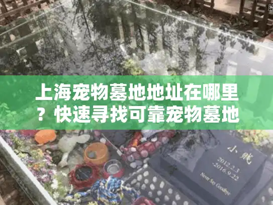 上海宠物墓地地址在哪里？快速寻找可靠宠物墓地的方法