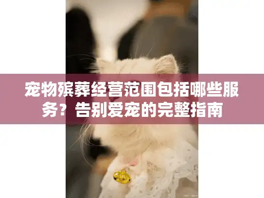 宠物殡葬经营范围包括哪些服务？告别爱宠的完整指南