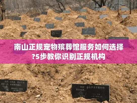 南山正规宠物殡葬馆服务如何选择?5步教你识别正规机构