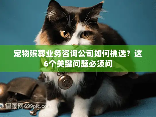 宠物殡葬业务咨询公司如何挑选？这6个关键问题必须问