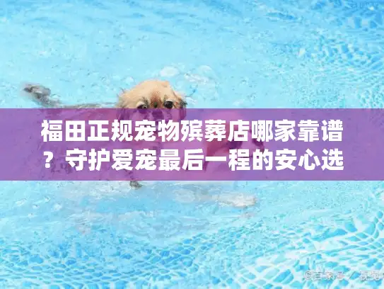 福田正规宠物殡葬店哪家靠谱？守护爱宠最后一程的安心选择