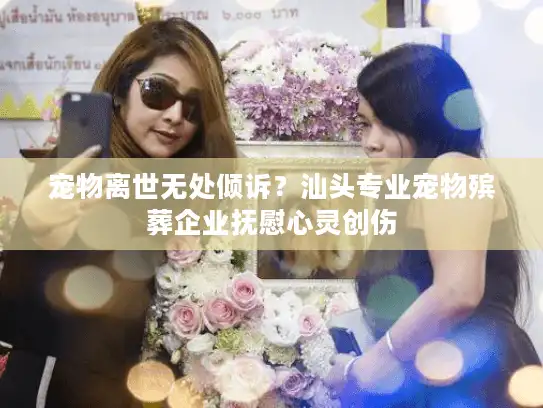 宠物离世无处倾诉？汕头专业宠物殡葬企业抚慰心灵创伤