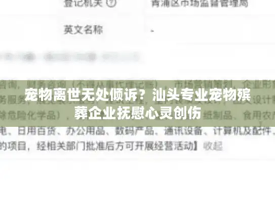 宠物离世无处倾诉？汕头专业宠物殡葬企业抚慰心灵创伤