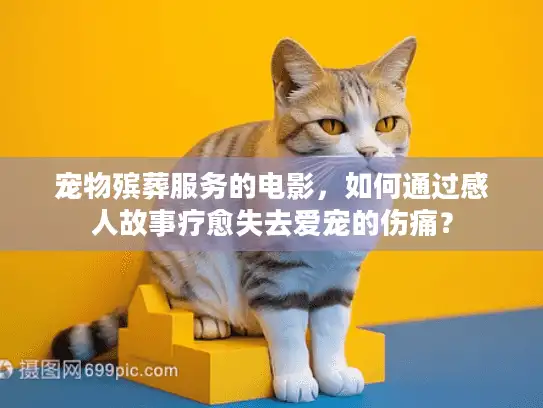 宠物殡葬服务的电影，如何通过感人故事疗愈失去爱宠的伤痛？