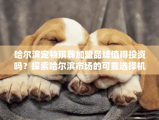 哈尔滨宠物殡葬加盟品牌值得投资吗？探索哈尔滨市场的可靠选择机会
