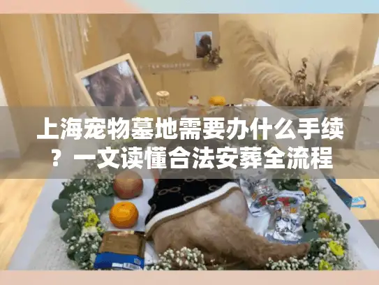上海宠物墓地需要办什么手续？一文读懂合法安葬全流程
