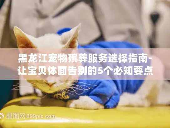 黑龙江宠物殡葬服务选择指南-让宝贝体面告别的5个必知要点