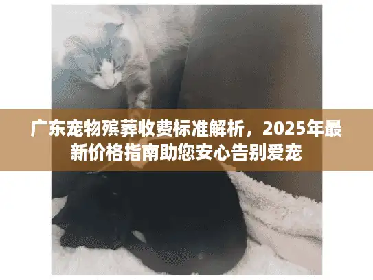 广东宠物殡葬收费标准解析，2025年最新价格指南助您安心告别爱宠