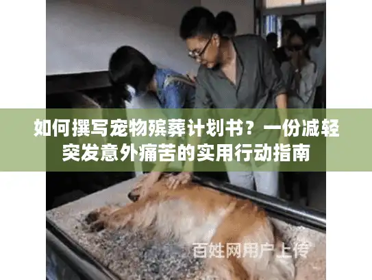如何撰写宠物殡葬计划书？一份减轻突发意外痛苦的实用行动指南