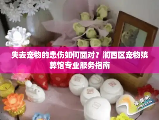 失去宠物的悲伤如何面对？涧西区宠物殡葬馆专业服务指南