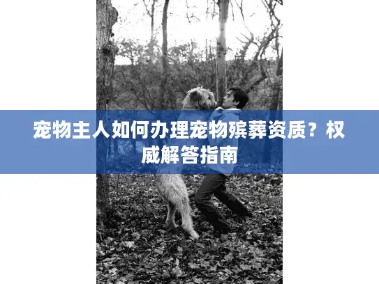 宠物主人如何办理宠物殡葬资质？权威解答指南