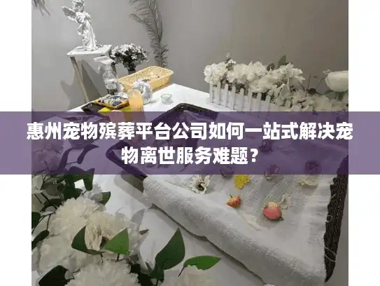 惠州宠物殡葬平台公司如何一站式解决宠物离世服务难题？