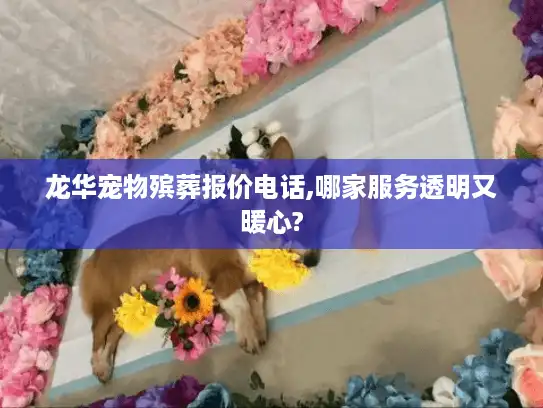 龙华宠物殡葬报价电话,哪家服务透明又暖心?