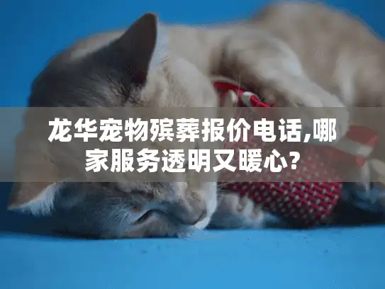龙华宠物殡葬报价电话,哪家服务透明又暖心?