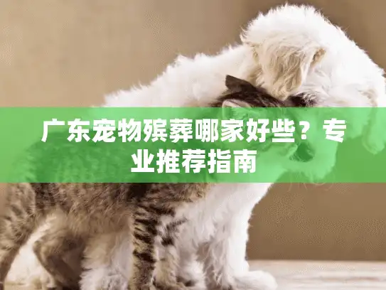 广东宠物殡葬哪家好些？专业推荐指南